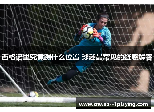 西格诺里究竟踢什么位置 球迷最常见的疑惑解答