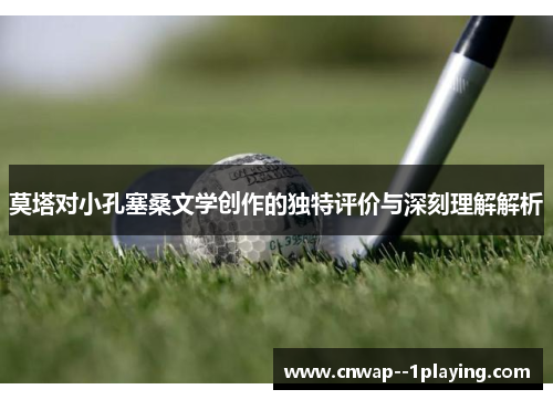 莫塔对小孔塞桑文学创作的独特评价与深刻理解解析