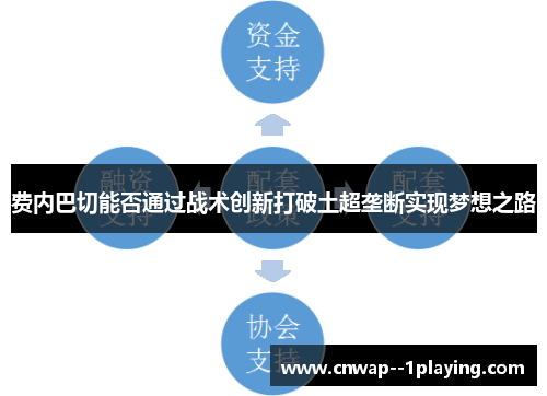 费内巴切能否通过战术创新打破土超垄断实现梦想之路