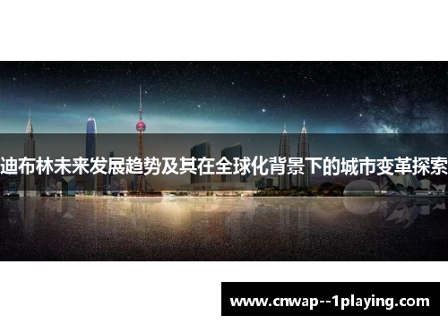 迪布林未来发展趋势及其在全球化背景下的城市变革探索