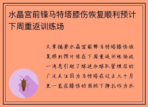 水晶宫前锋马特塔膝伤恢复顺利预计下周重返训练场