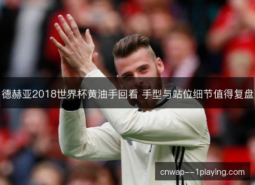 德赫亚2018世界杯黄油手回看 手型与站位细节值得复盘
